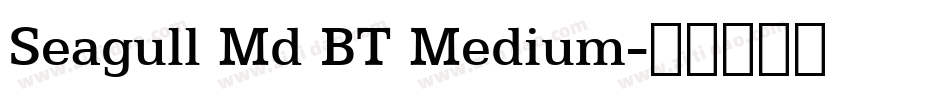 Seagull Md BT Medium字体转换